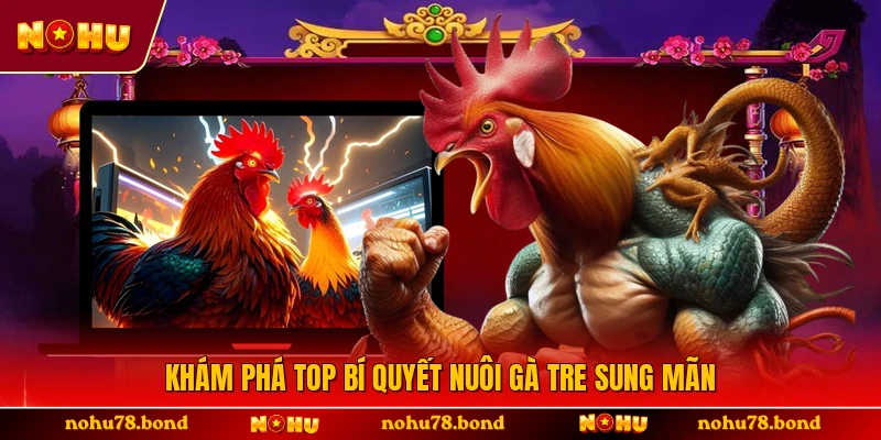 Khám phá top bí quyết nuôi gà tre sung mãn 