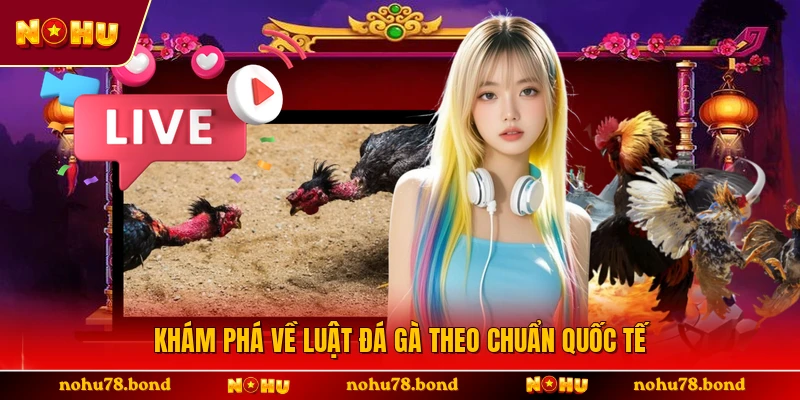 Khám phá về luật đá gà theo chuẩn quốc tế 