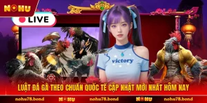 Luật Đá Gà Theo Chuẩn Quốc Tế Cập Nhật Mới Nhất Hôm Nay