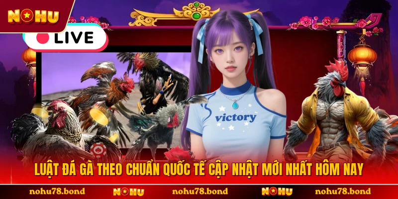 Luật Đá Gà Theo Chuẩn Quốc Tế Cập Nhật Mới Nhất Hôm Nay