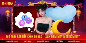 Mơ Thấy Rắn Nên Chọn Số Nào - Luận Điềm May Mắn Hôm Nay