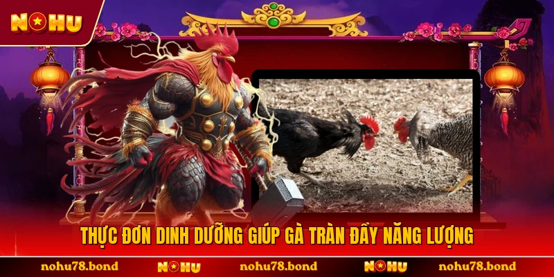 Thực đơn dinh dưỡng giúp gà tràn đầy năng lượng 